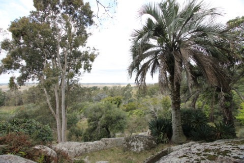 Campo en venta en Maldonado